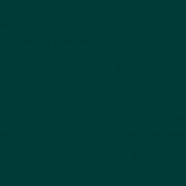 Πράσινο Χρώμα αυτοκινήτου 598-RENAULT