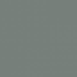 Γκρι Χρώμα αυτοκινήτου 608-RENAULT