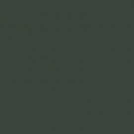 Γκρι Χρώμα αυτοκινήτου 609-RENAULT