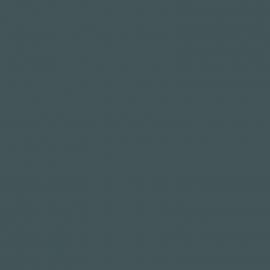 Γκρι Χρώμα αυτοκινήτου 619-FIAT