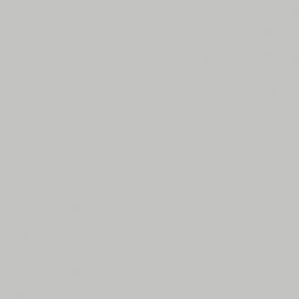 Γκρι Χρώμα αυτοκινήτου 619/A-LANCIA