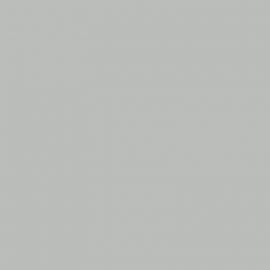 Γκρι Χρώμα αυτοκινήτου 620-LANCIA