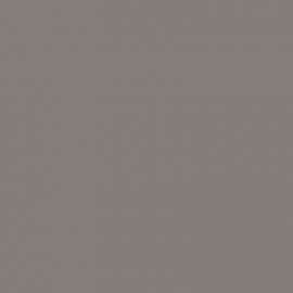 Γκρι Χρώμα αυτοκινήτου 677-RENAULT