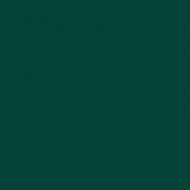 Πράσινο Χρώμα αυτοκινήτου 746-FIAT