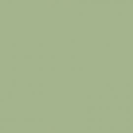 Πράσινο Χρώμα αυτοκινήτου 751-FIAT