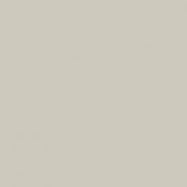 Γκρι Χρώμα αυτοκινήτου 753-ISUZU