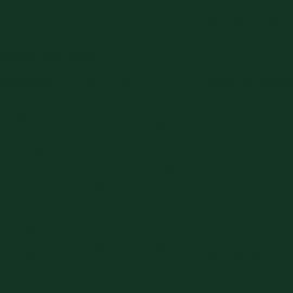 Πράσινο Χρώμα αυτοκινήτου 762-FIAT