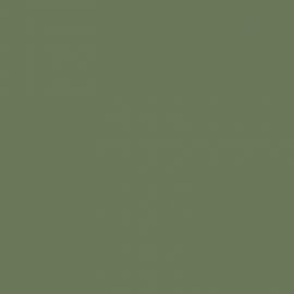 Πράσινο Χρώμα αυτοκινήτου 795/A-FIAT