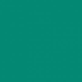 Πράσινο Χρώμα αυτοκινήτου 810-MERCEDES