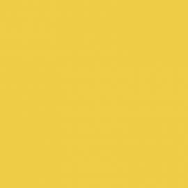 Κίτρινο Χρώμα αυτοκινήτου 824/C-FIAT