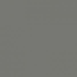 Γκρι Χρώμα αυτοκινήτου 8PSCWWA-FORD