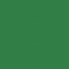 Πράσινο Χρώμα αυτοκινήτου 901-RENAULT