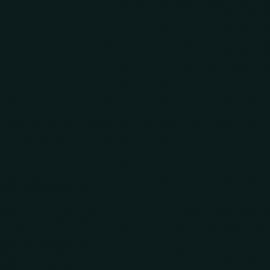 Πράσινο Χρώμα αυτοκινήτου 903-RENAULT