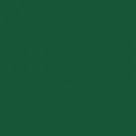 Πράσινο Χρώμα αυτοκινήτου 926-RENAULT