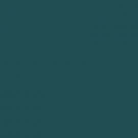 Πράσινο Χρώμα αυτοκινήτου 941-RENAULT