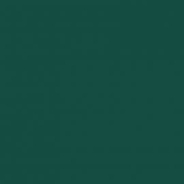 Πράσινο Χρώμα αυτοκινήτου 9573-SKODA