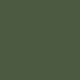 Πράσινο Χρώμα αυτοκινήτου 961-RENAULT