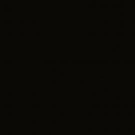 Μαύρο Χρώμα αυτοκινήτου 9AZCWWA-FORD