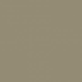 Μπεζ Χρώμα αυτοκινήτου A19-RENAULT