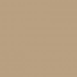 Μπεζ Χρώμα αυτοκινήτου A1N-VAG