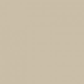 Μπεζ Χρώμα αυτοκινήτου A1Y-VAG