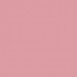 Μωβ Χρώμα αυτοκινήτου B70-RENAULT