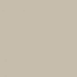 Γκρι Χρώμα αυτοκινήτου BNXEWWA-FORD