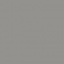 Γκρι Χρώμα αυτοκινήτου C02L-SMART