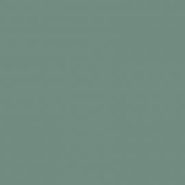 Γκρι Χρώμα αυτοκινήτου C1F-SUBARU