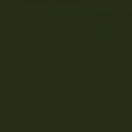 Πράσινο Χρώμα αυτοκινήτου C4E-BMW