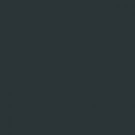 Γκρι Χρώμα αυτοκινήτου C6P-BMW