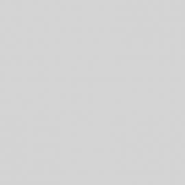 Λευκό Χρώμα αυτοκινήτου C9A-SEAT