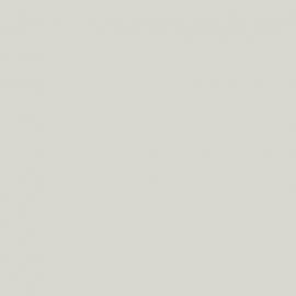 Λευκό Χρώμα αυτοκινήτου CWFAWWA-FORD