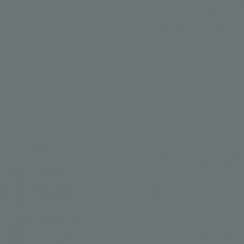 Γκρι Χρώμα αυτοκινήτου D61-RENAULT