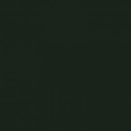 Πράσινο Χρώμα αυτοκινήτου D93-RENAULT