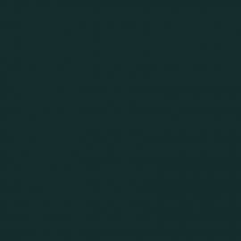 Πράσινο Χρώμα αυτοκινήτου D98-RENAULT