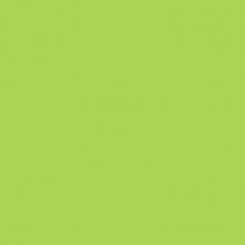 Πράσινο Χρώμα αυτοκινήτου DNA-RENAULT