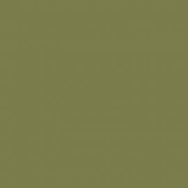 Πράσινο Χρώμα αυτοκινήτου DNE-RENAULT