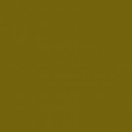 Πράσινο Χρώμα αυτοκινήτου DNN-RENAULT