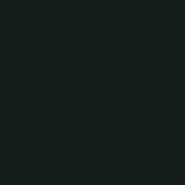 Πράσινο Χρώμα αυτοκινήτου E2-KIA