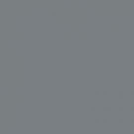 Γκρι Χρώμα αυτοκινήτου EAC-SMART