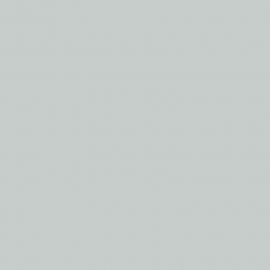 Λευκό Χρώμα αυτοκινήτου EBZ-SMART