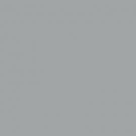 Γκρι Χρώμα αυτοκινήτου ECP-SMART