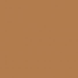 Κίτρινο Χρώμα αυτοκινήτου EESEXWA-FORD