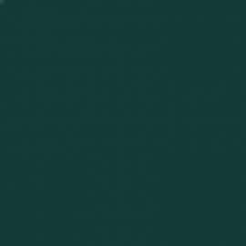 Πράσινο Χρώμα αυτοκινήτου ERY-CITROEN