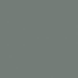 Γκρι Χρώμα αυτοκινήτου ERZ-CITROEN