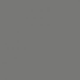 Γκρι Χρώμα αυτοκινήτου ETB-CITROEN