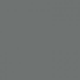 Γκρι Χρώμα αυτοκινήτου ETH-CITROEN