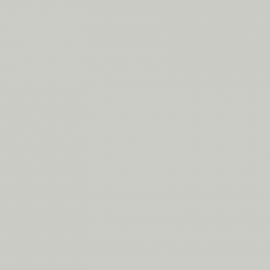 Γκρι Χρώμα αυτοκινήτου ETP-CITROEN