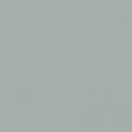 Γκρι Χρώμα αυτοκινήτου EYL-CITROEN